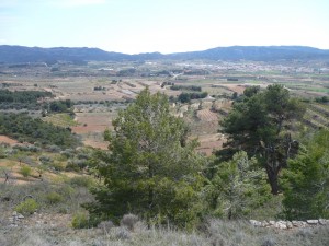 ruta10 039
