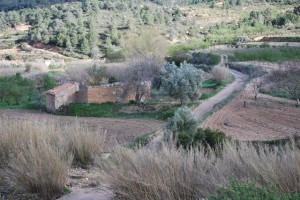Fig. 9: View from the Corbera-Mora road at Km 808 showing the outlet of the barranca leading towards Mora.