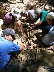 Exhumation by the Association for the Recovery of the Historical Memory (ARMH). Archivo fotográfico Foro Cultural Provincia de El Bierzo. CC BY-SA 3.0