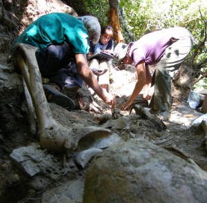 Exhumation, by part of the Association for the Recovery of the Historical Memory (ARMH), of a pit of Spanish Civil War victims, 2008. Photo Foro Cultural Provincia de El Bierzo. CC BY-SA 4.0.