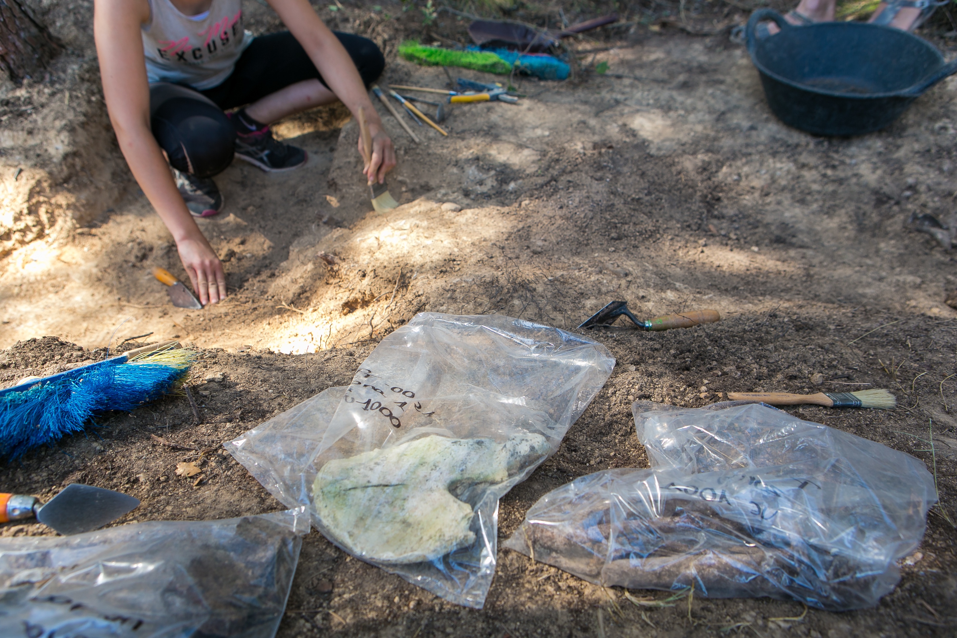 Selection of bone pieces for the extraction of DNA in the cemetery of Castellar del Vallès (Barcelona), 2018. This allowed identification of the remains of an Italian anti-Franco guerrilla who was murdered by the Civil Guard in 1949.